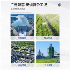 LFT3010防泥沙型液位變送器