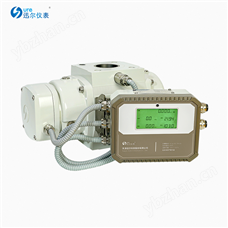 氣體腰輪流量計