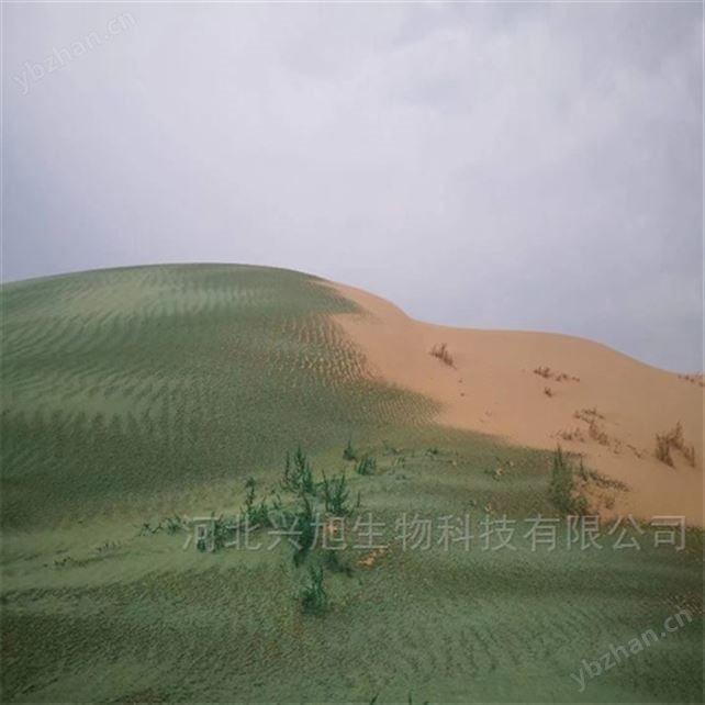 河北抑塵劑廠家 自產(chǎn)自銷 現(xiàn)貨供應(yīng)