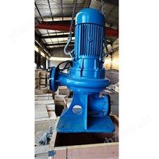 150WL100-16-11立式泵廠家