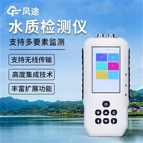 FT-SS6便携式orp检测仪