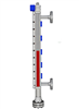 SBMG-25/16-VK5-V65磁翻板液位计