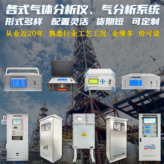 惰性气体微量氧含量检测仪厂家