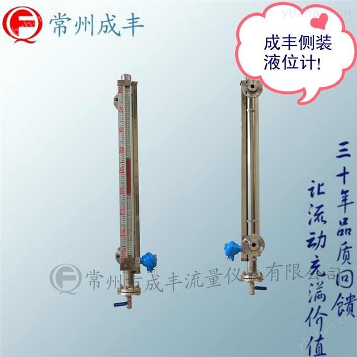 江蘇遠(yuǎn)傳磁性浮子液位計(jì)-磁翻板液位計(jì)