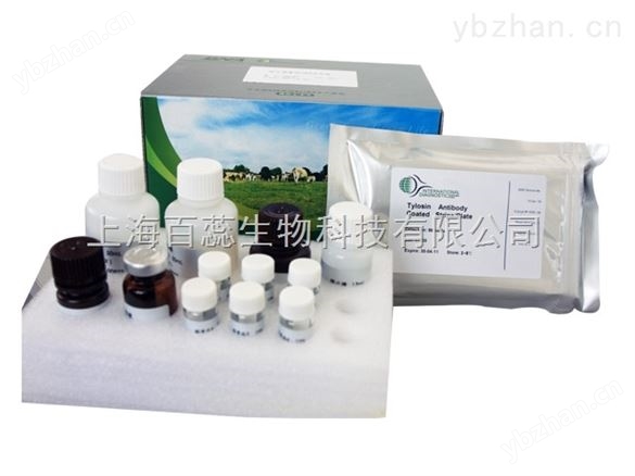 犬內皮型一氧化氮合成酶ELISA試劑盒 CanineeNOS elisa kit