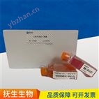 DT40说明书