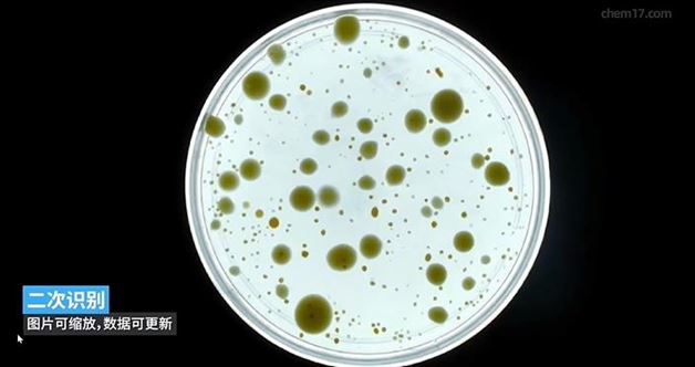 微生物菌落分析仪实测：国标合规，一键导出检测报告