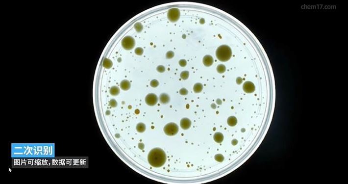 微生物菌落分析仪实测：国标合规，一键导出检测报告