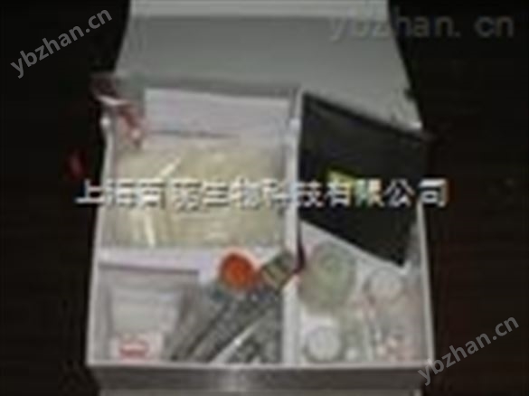 大鼠白介素1α（IL-1α）ELISA試劑盒 使用咨詢,歡迎聯(lián)系
