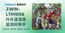 ZWIN-LTH1006：叶片温湿度监测好帮手