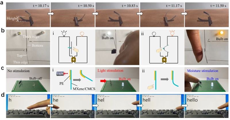 合肥工业大学在柔性智能驱动器件领域取得新进展