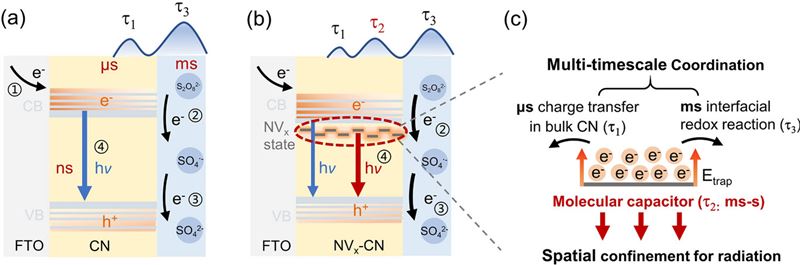 东南大学张袁健团队在电化学发光领域取得重要进展