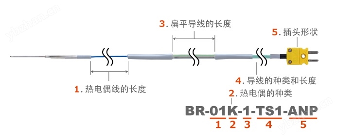 日本安立低溫用溫度傳感器BR-01E-1-TS1-ANP