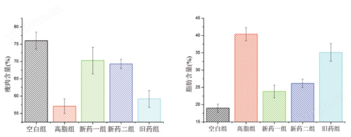 清醒小動(dòng)物體成分分析儀