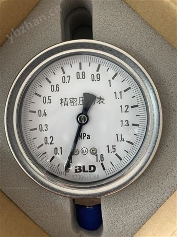 毛细压力表\布莱迪不锈钢压力表