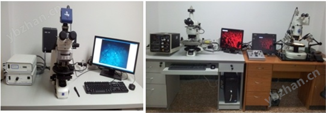 THMKS-600型地质流体包裹体冷热台