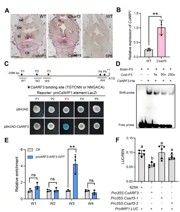WPS图片3.png WPS图片3.png