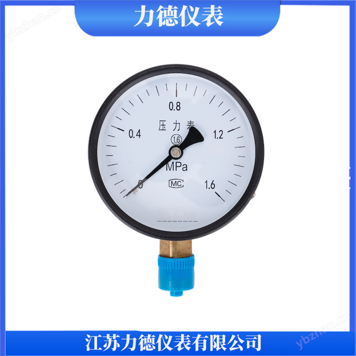 YE-100膜盒壓力表