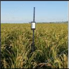作物株高测量仪  型号:LBDM-G-1