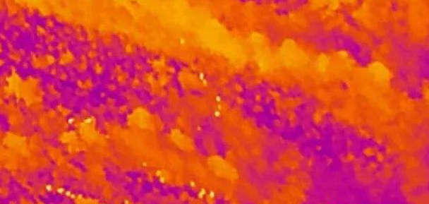 紅外熱像儀在森林防火中的重要作用-2